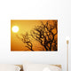 Keawe Tree Silhouette Of Bare Branches, Sunset Wall Mural