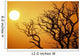 Keawe Tree Silhouette Of Bare Branches, Sunset Wall Mural