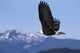 Mountains Distance A52E Wall Mural