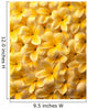 Yellow Plumeria Flowers With Water Droplets Wall Mural