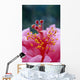 Hibiscus Hybrid Flower A23B Wall Mural