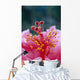 Hibiscus Hybrid Flower A23B Wall Mural