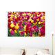 Oregon Willamette Valley Wall Mural