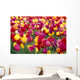 Oregon Willamette Valley Wall Mural