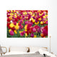 Oregon Willamette Valley Wall Mural