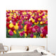 Oregon Willamette Valley Wall Mural