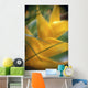 Soft Focus Detail Of Yellow Heliconia Flower On Plant A22A Wall Mural