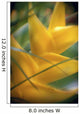 Soft Focus Detail Of Yellow Heliconia Flower On Plant A22A Wall Mural