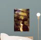 Canada, Rocky Mountains, Mule Deer Close-Up Front View A52C Wall Mural