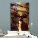 Canada, Rocky Mountains, Mule Deer Close-Up Front View A52C Wall Mural