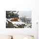 Montana Mountain Lion Resting In Day Bed Winter, Snow A52G Wall Mural
