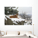 Montana Mountain Lion Resting In Day Bed Winter, Snow A52G Wall Mural
