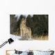 Montana, Gray Wolf Full Length View Standing In Snow A52D Wall Mural