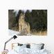 Montana, Gray Wolf Full Length View Standing In Snow A52D Wall Mural