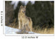 Montana, Gray Wolf Full Length View Standing In Snow A52D Wall Mural