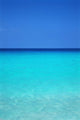 Calm Turquoise Ocean Water To Horizon, Clear Blue Sky A33A Wall Mural