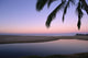 Palm Tree Fronds Lavender Hued Dusk A32G Wall Mural