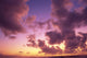 Tropical Cumulus Pink/Orange Clouds At Sunset, Over Ocean A35C Wall Mural