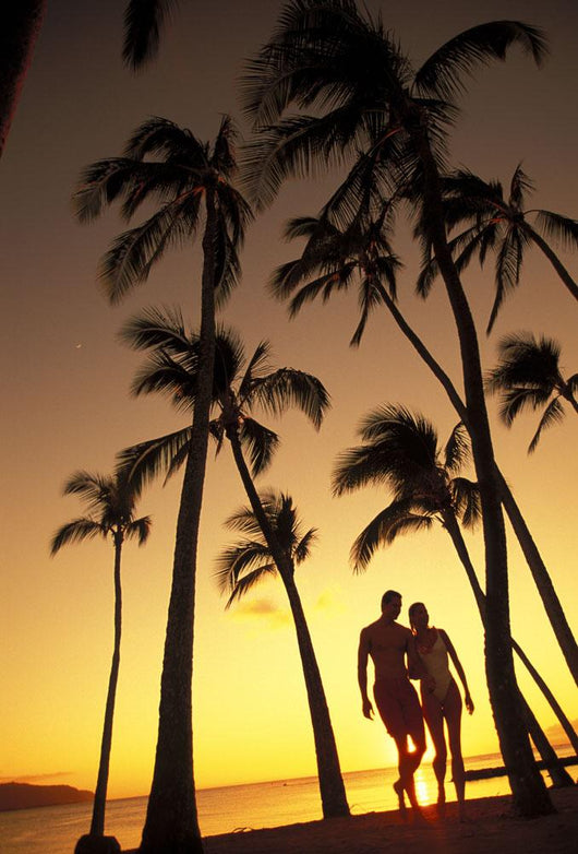 Silhouette Of Romantic Couple In Park At Sunset Wall Mural