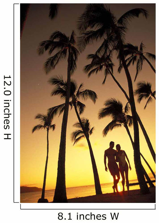 Silhouette Of Romantic Couple In Park At Sunset Wall Mural