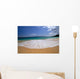 Lanai Background A47C Wall Mural
