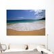 Lanai Background A47C Wall Mural