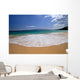 Lanai Background A47C Wall Mural