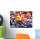 a clown fish swimming in its anemone, underwater Wall Mural
