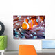 a clown fish swimming in its anemone, underwater Wall Mural