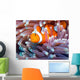 a clown fish swimming in its anemone, underwater Wall Mural