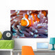 a clown fish swimming in its anemone, underwater Wall Mural