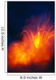 Nighttime A28G Wall Mural