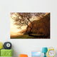 Hawaii, Oahu, Scenic View Of Beach Near Yokohama Bay, Soft Focus Wall Mural