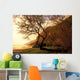 Hawaii, Oahu, Scenic View Of Beach Near Yokohama Bay, Soft Focus Wall Mural