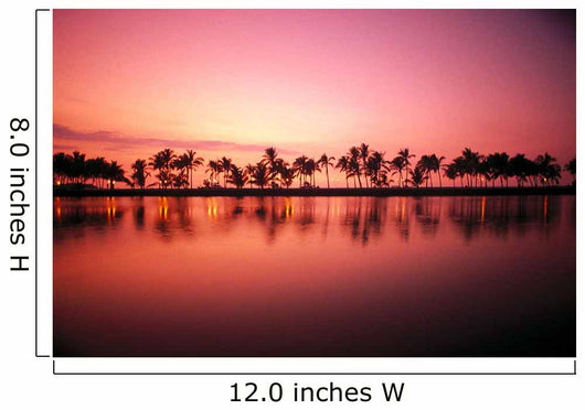 Reflections A29F Wall Mural
