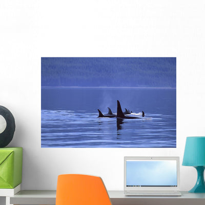 Alaska Icy Strait Pod Wall Mural shown on a wall