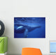 Hawaii, Humpback Whales Mother And Calf Underwater Near Surface A94G Wall Mural