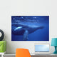 Hawaii, Humpback Whales Mother And Calf Underwater Near Surface A94G Wall Mural