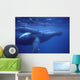 Hawaii, Humpback Whales Mother And Calf Underwater Near Surface A94G Wall Mural