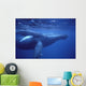 Hawaii, Humpback Whales Mother And Calf Underwater Near Surface A94G Wall Mural