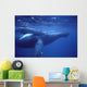Hawaii, Humpback Whales Mother And Calf Underwater Near Surface A94G Wall Mural