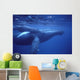 Hawaii, Humpback Whales Mother And Calf Underwater Near Surface A94G Wall Mural