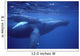 Hawaii, Humpback Whales Mother And Calf Underwater Near Surface A94G Wall Mural