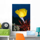 Hawaii, Long Nose Butterfly Fish Over Pencil Urchin A85D Wall Mural