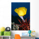 Hawaii, Long Nose Butterfly Fish Over Pencil Urchin A85D Wall Mural