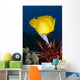 Hawaii, Long Nose Butterfly Fish Over Pencil Urchin A85D Wall Mural
