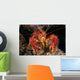 Hawaiian Lobster, Front View A89G Wall Mural