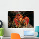 Hawaiian Lobster, Front View A89G Wall Mural