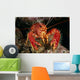 Hawaiian Lobster, Front View A89G Wall Mural