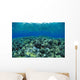 Reflections A91A Wall Mural